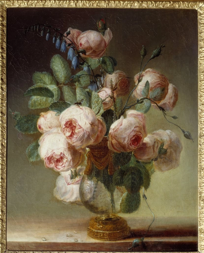 Pierre Joseph Redouté - 147, Vaso di peonie, Musee des Beaux, Arts, Rouen